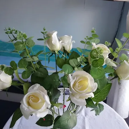 Przy Fontannie Privat bolig Karwia